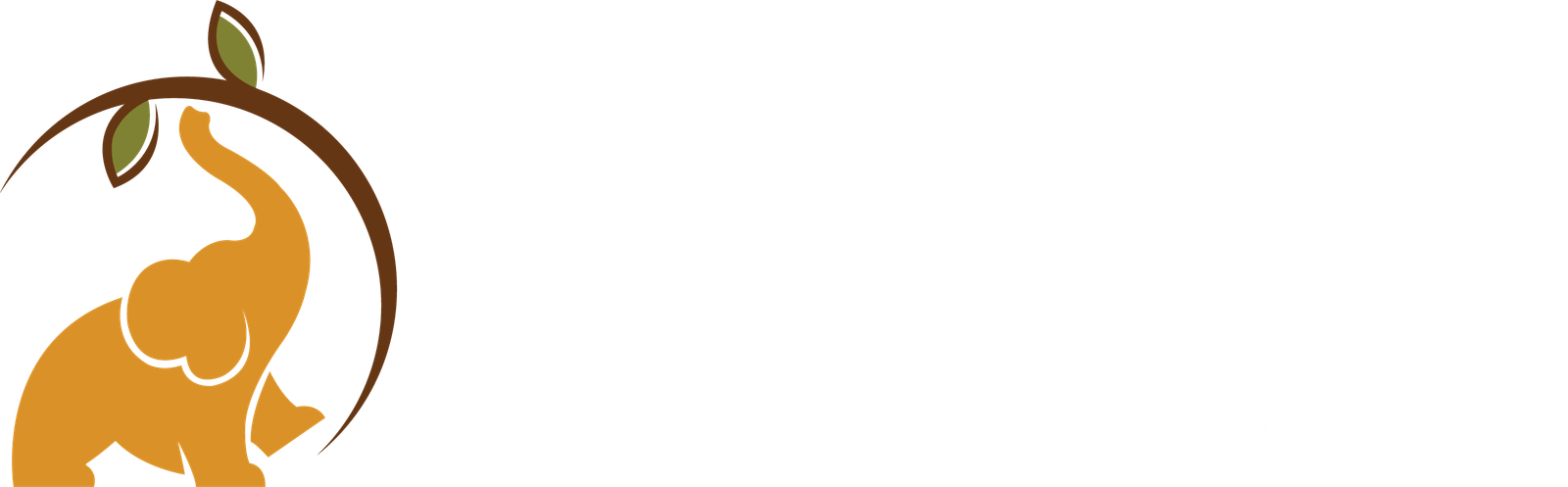 Back to Roots Ayurveda